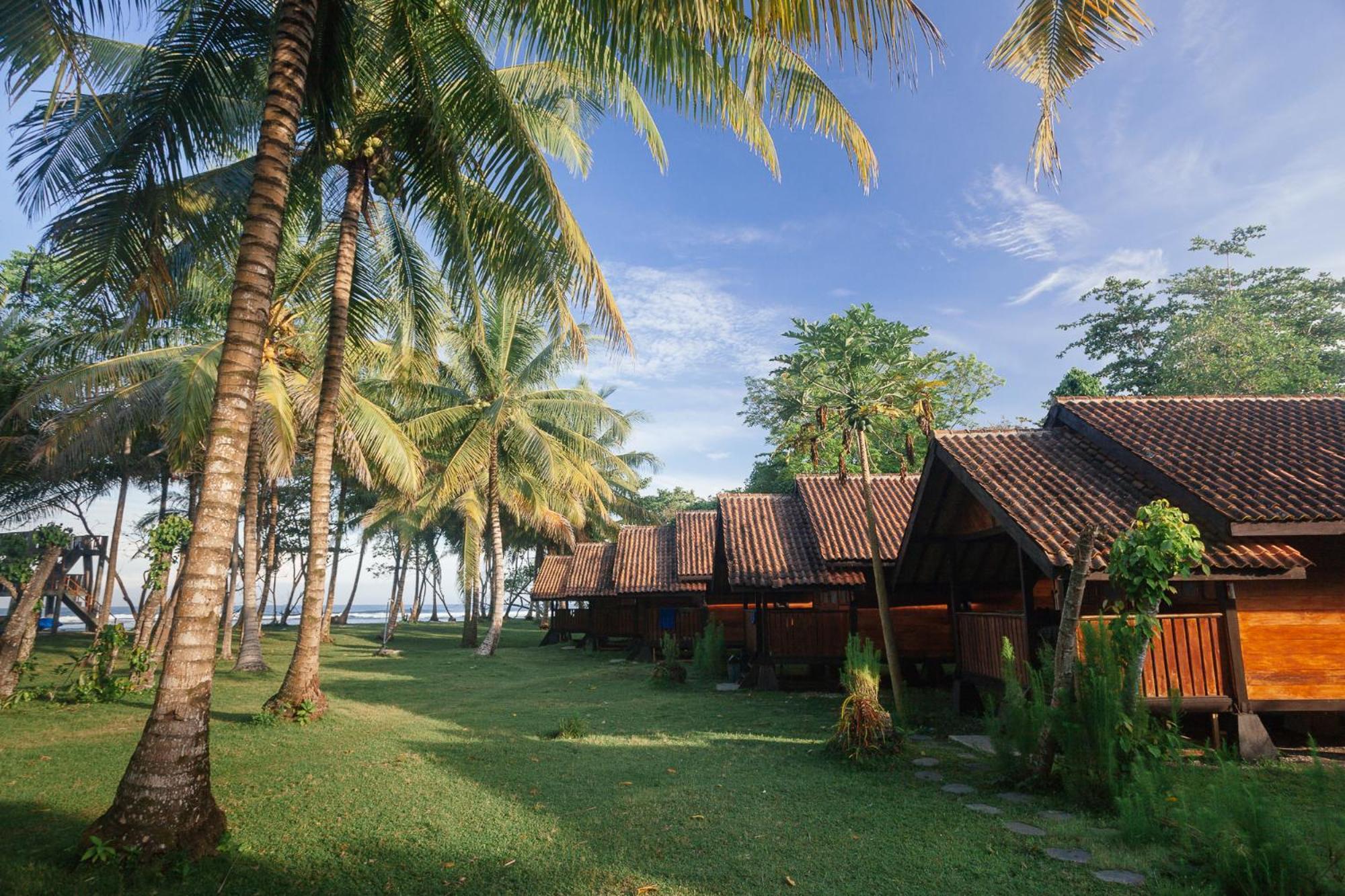 Sumatra Surf Resort Biha Exterior photo